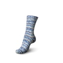Sockenwolle  Regia Cotton Color