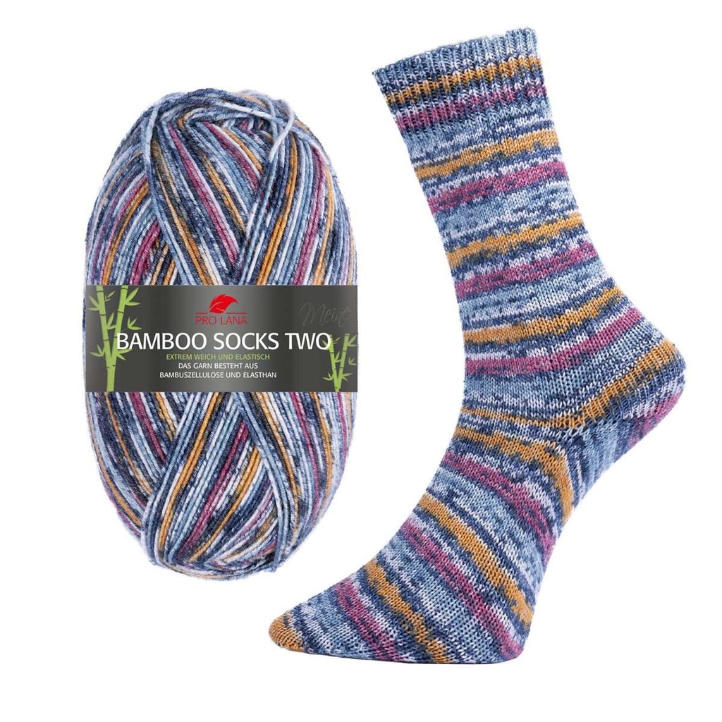 Pro Lana Bamboo Socks color 100g TWO Sort