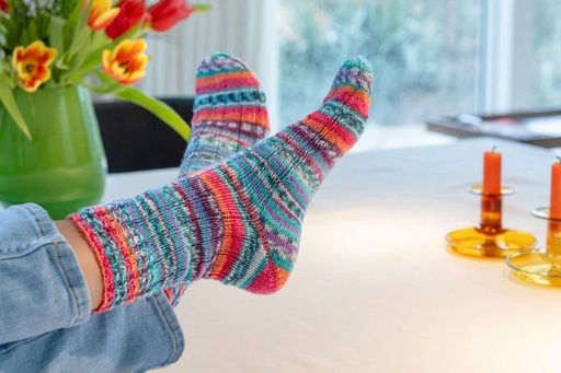 Hot Socks Campione